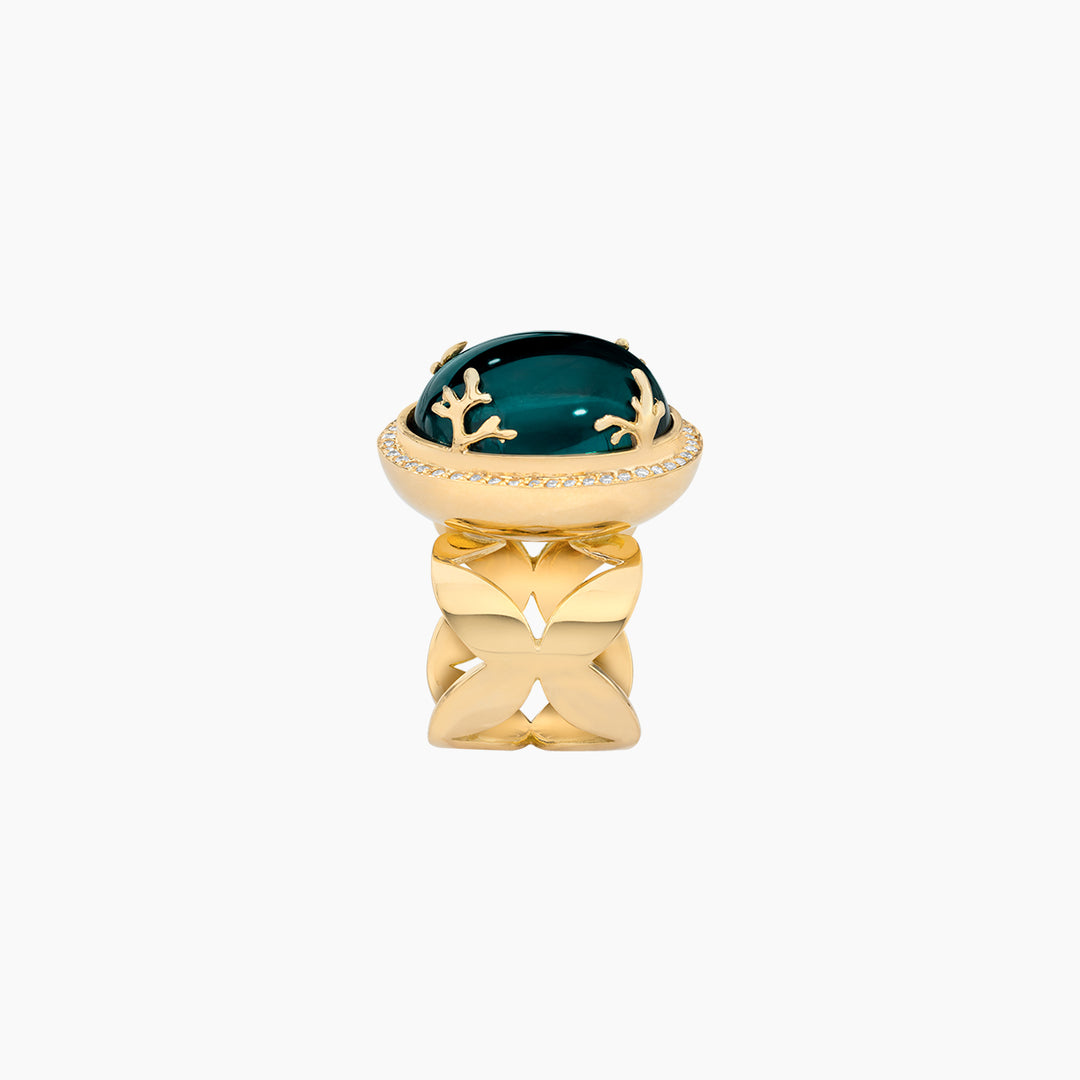 anillo ariel